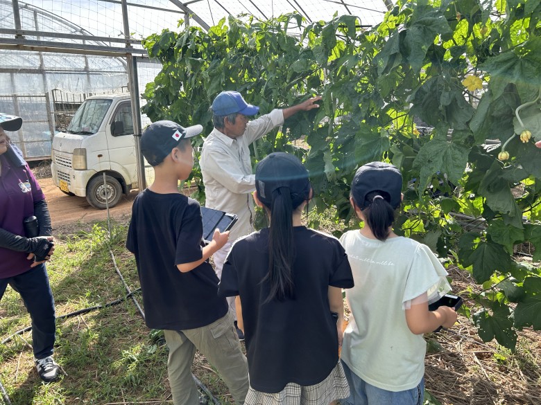 ゴーヤー畑見学の様子